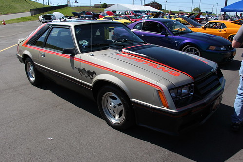 1979 Ford Mustang Cobra Pace Car