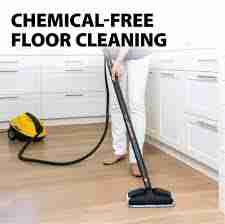 Wagner Spraytech 0282014 915 Steam Cleaner — A Review